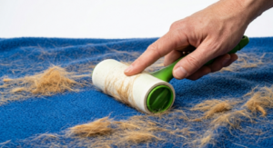 Struggling with Fur? 7 Proven Ways to Remove Dog Hair from Blankets