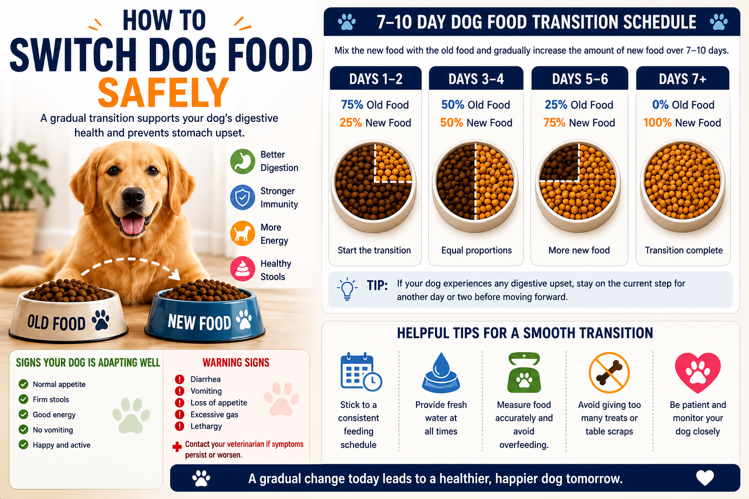 Switching Dog Food Safely Guide